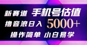 抖音不出境直播【手机号估值】最新撸音浪,日入5000+,简单易学,适合…-KJ分享