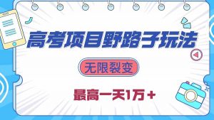 2024高考项目野路子玩法,无限裂变,最高一天1W+!-KJ分享