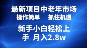 2024最新项目,中老年市场,起号简单,7条作品涨粉4000+,单月变现2.8w-KJ分享