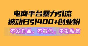 电商平台暴力引流,被动日引400+创业粉不发作品,不截流,不发私信-KJ分享