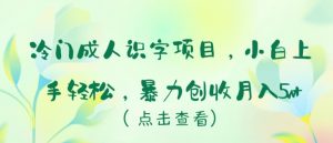 冷门成人识字项目,小白上手轻松,暴力创收月入5w+-KJ分享