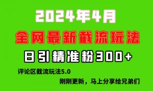 刚刚研究的最新评论区截留玩法,日引流突破300+,颠覆以往垃圾玩法,比…-KJ分享