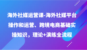 海外社媒运营课-海外社媒平台操作和运营、跨境电商基础实操知识,理论+演练全流程-KJ分享