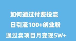 如何通过付费投流日引流100+创业粉月变现5W+-KJ分享