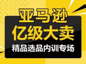 亚马逊亿级大卖-精品选品内训专场,亿级卖家分享选品成功之道-KJ分享