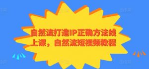 自然流打造IP正确方法线上课,自然流短视频教程-KJ分享