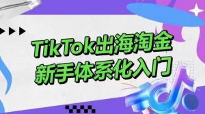 TikTok出海淘金,新手体系化入门,零基础快速入门,掌握短视频、直播带货等引流到变现的知识-KJ分享