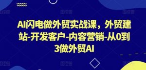 AI闪电做外贸实战课,外贸建站-开发客户-内容营销-从0到3做外贸AI-KJ分享