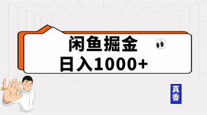 闲鱼暴力掘金项目，轻松日入1000+-KJ分享