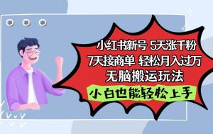 小红书影视泥巴追剧5天涨千粉7天接商单轻松月入过万无脑搬运玩法,小白也能轻松上手-KJ分享
