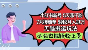 小红书影视泥巴追剧5天涨千粉,7天接商单,轻松月入过万,无脑搬运玩法-KJ分享