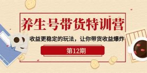 养生号带货特训营【12期】收益更稳定的玩法,让你带货收益爆炸(9节直播课)-KJ分享