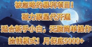 被忽略的暴利项目！磁力聚星代开通捡钱模式，轻松月入五六千-KJ分享