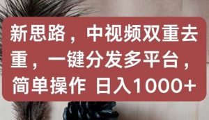 新思路,中视频双重去重,一键分发多平台,简单操作,日入1000+-KJ分享