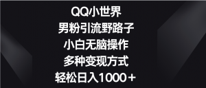 QQ小世界男粉引流野路子，小白无脑操作，多种变现方式轻松日入1000＋-KJ分享