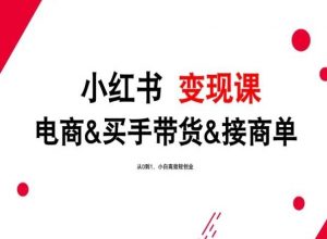 2024年最新小红书变现课,电商&买手带货&接商单,从0到1,小白高效轻创业-KJ分享