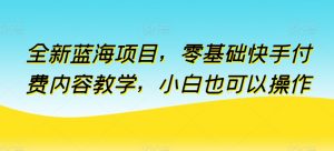全新蓝海项目，零基础快手付费内容教学，小白也可以操作-KJ分享
