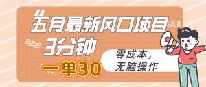 五月最新风口项目,3分钟一单30,零成本,无脑操作-KJ分享