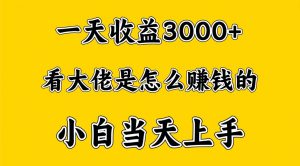 一天赚3000多，大佬是这样赚到钱的，小白当天上手，穷人翻身项目-KJ分享