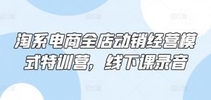淘系电商全店动销经营模式特训营，线下课录音-KJ分享