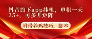 抖音旗下app自动挂机,单机一天收益25+,可多开矩阵-KJ分享