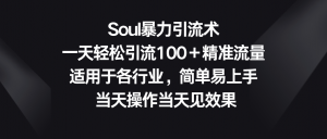 Soul暴力引流术,一天轻松引流100+精准流量,适用于各行业,简单易上手!-KJ分享