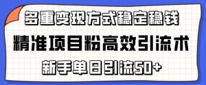 精准项目粉高效引流术，新手单日引流50+，多重变现方式稳定赚钱-KJ分享