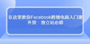 在这里教你Facebook跨境电商入门课,外贸·独立站必修(19节课)-KJ分享