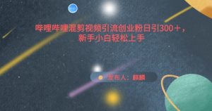 哔哩哔哩混剪视频引流创业粉日引300+,新手小白轻松上手-KJ分享