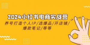 2024小红书电商实战营，养号打造IP/选爆品/开店铺/爆款笔记/等等（24节）-KJ分享
