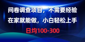 问卷调查项目，不需要经验，在家就能做，小白轻松上手，日均100-300-KJ分享