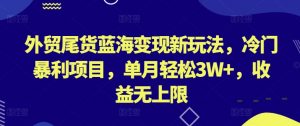 外贸尾货蓝海变现新玩法,冷门暴利项目,单月轻松3W+,收益无上限-KJ分享