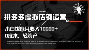 多多虚拟项目运营，小白也能月收入10000+-KJ分享