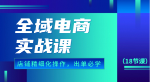 全域电商实战课,个人店铺精细化操作流程,出单必学内容(18节课)-KJ分享