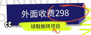 外面收费298的得物球鞋搬砖项目详细拆解教程-KJ分享