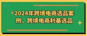 2024年跨境电商选品案例,跨境电商利基选品-KJ分享