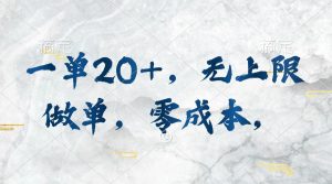 一单20+，无上限做单，零成本，执行就有收入-KJ分享