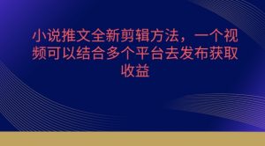 小说推文全新剪辑方法，一个视频可以结合多个平台去发布获取-KJ分享
