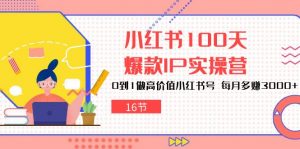 小红书100天-爆款IP实操营,0到1做高价值小红书号 每月多赚3000+(16节)-KJ分享