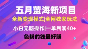 五月蓝海项目全新玩法，小白无脑操作，一天几分钟，矩阵操作，月入4万+-KJ分享