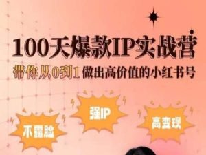 小红书100天爆款IP实战营，带你从0到1做出高价值的小红书号-KJ分享