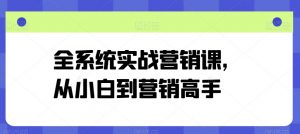 全系统实战营销课,从小白到营销高手-KJ分享