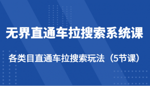 无界直通车拉搜索系统课-各类目直通车拉搜索玩法（5节课）-KJ分享