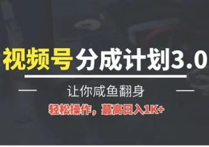 24年视频号冷门蓝海赛道,操作简单,单号收益可达四位数-KJ分享