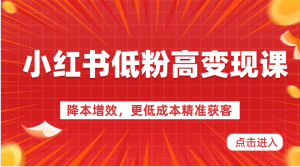 小红书低粉高变现课-降本增效,更低成本精准获客,小红书必爆的流量密码-KJ分享