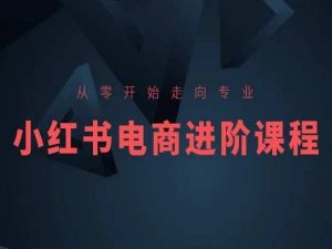 从零开始走向专业,小红书电商进阶课程-KJ分享