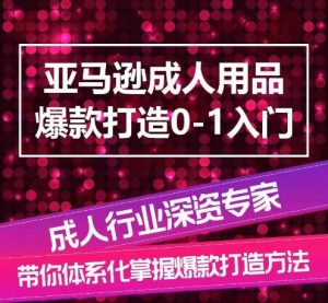 亚马逊成人用品爆款打造0-1入门,系统化讲解亚马逊成人用品爆款打造的流程-KJ分享