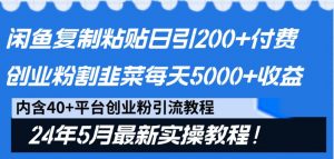 闲鱼复制粘贴日引200+付费创业粉,24年5月最新方法!割韭菜日稳定5000+收益-KJ分享