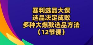 暴利选品大课:选品决定成败,教你多种大爆款选品方法(12节课)-KJ分享