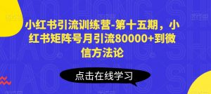 小红书引流训练营-第十五期，小红书矩阵号月引流80000+到微信方法论-KJ分享